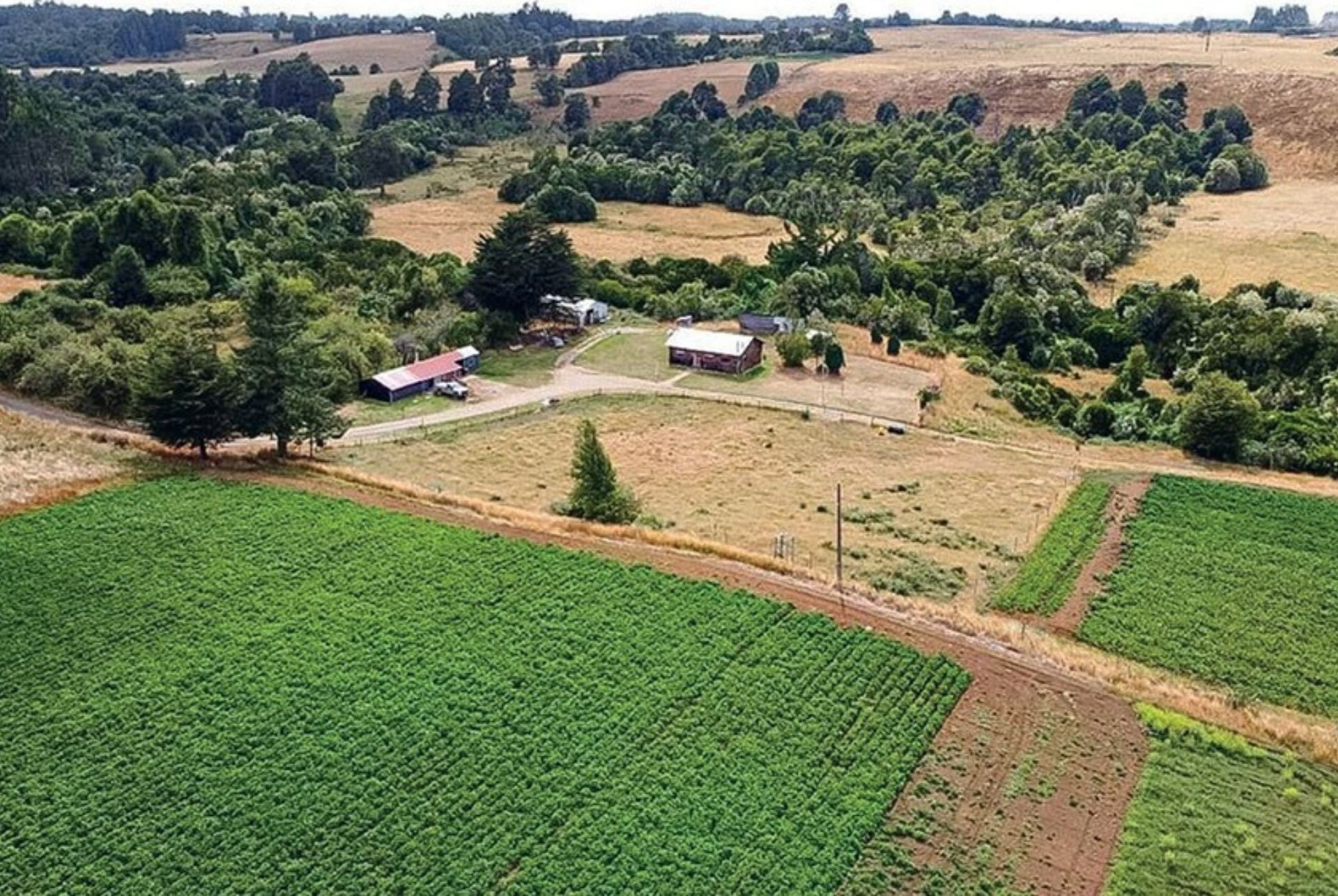 HO Copia de Imagenes Gololo